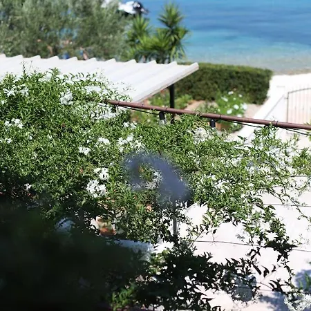 아파트 Miamar 트로기르